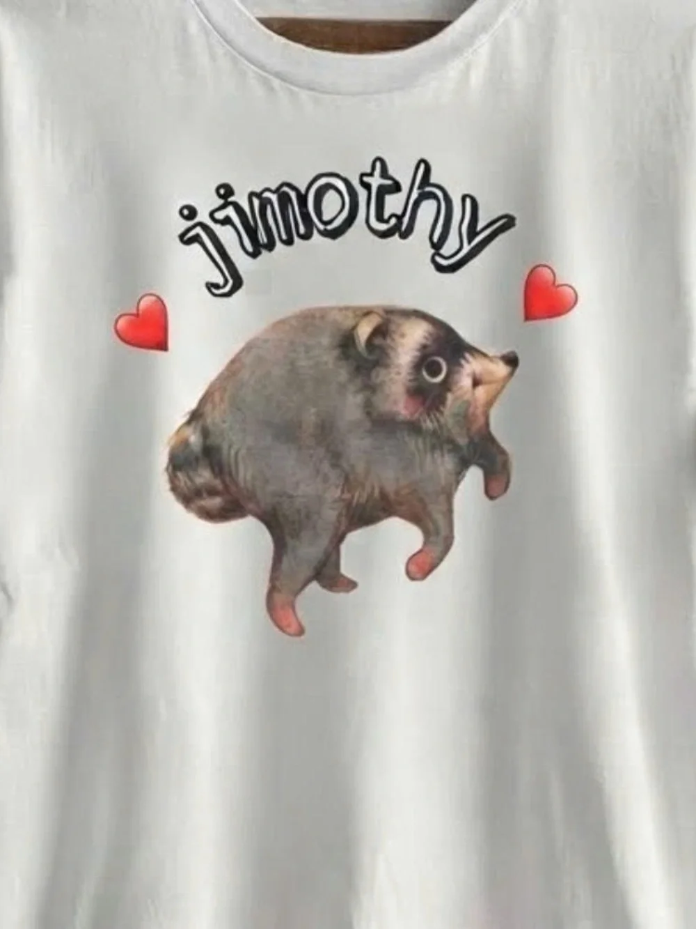 Jimothy Raccoon Tee Cute Graphic Shirt With Hearts